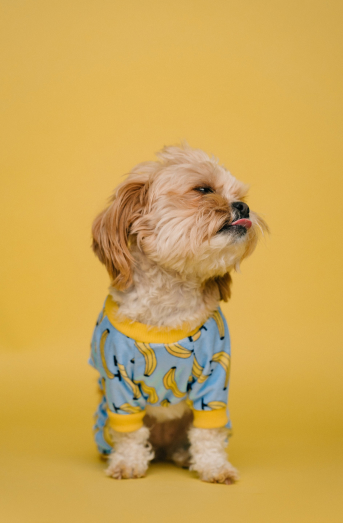 Portfolio images